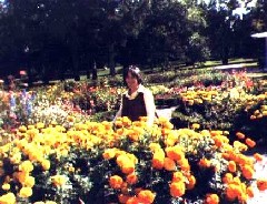 Sonnenberg Gardens; Ruth Bennett McDougal Dorrough;